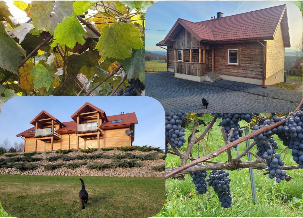 Fantastic View Vineyard Beskid Mountains Gruszow (Lesser Poland) Exterior foto