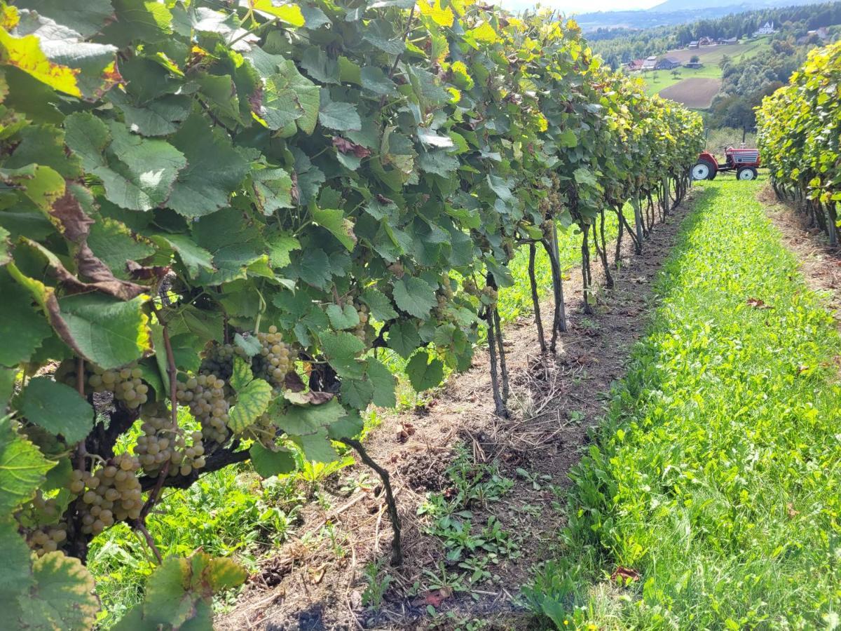Fantastic View Vineyard Beskid Mountains Gruszow (Lesser Poland) Exterior foto