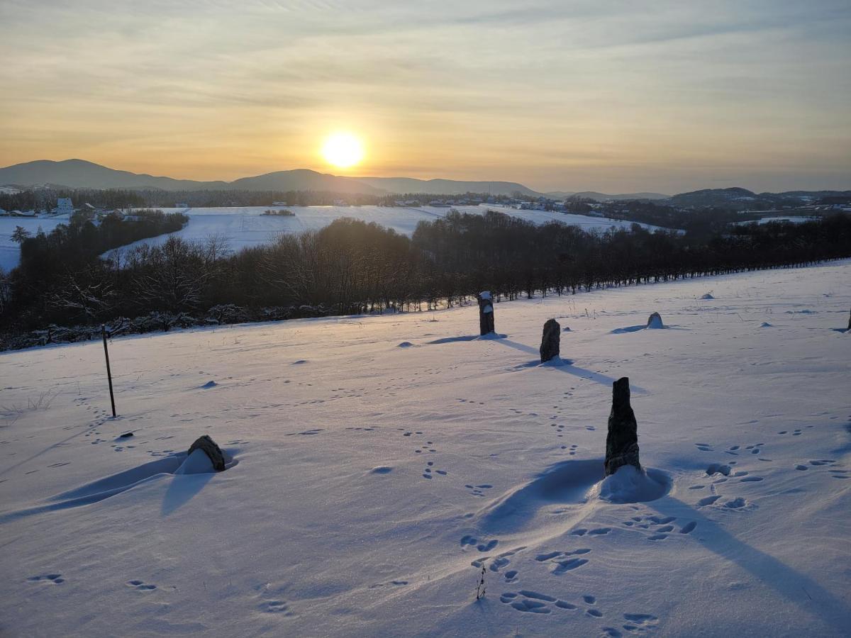Fantastic View Vineyard Beskid Mountains Gruszow (Lesser Poland) Exterior foto