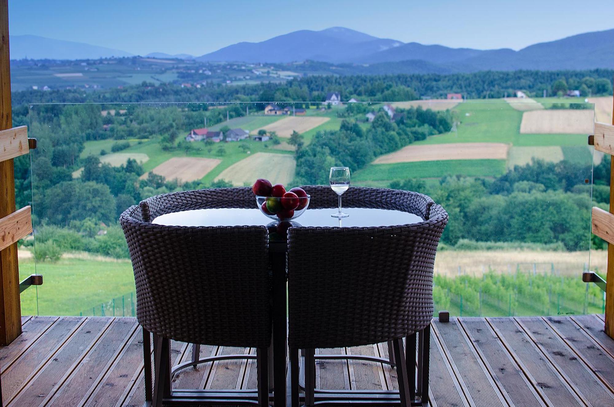Fantastic View Vineyard Beskid Mountains Gruszow (Lesser Poland) Quarto foto