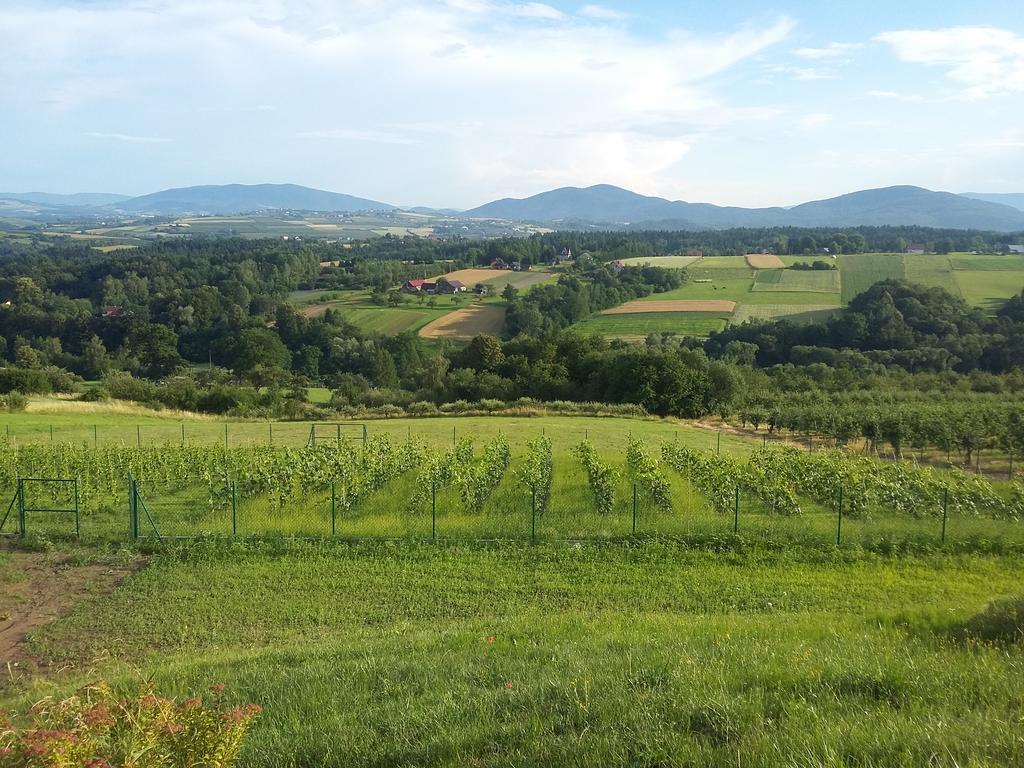 Fantastic View Vineyard Beskid Mountains Gruszow (Lesser Poland) Exterior foto