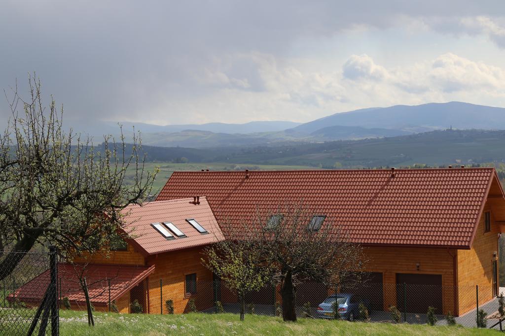 Fantastic View Vineyard Beskid Mountains Gruszow (Lesser Poland) Exterior foto